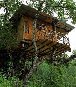 Resort Elephant Valley Eco Farm